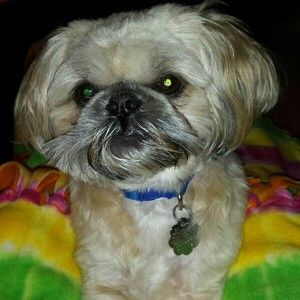 Meet your Posher, Carole